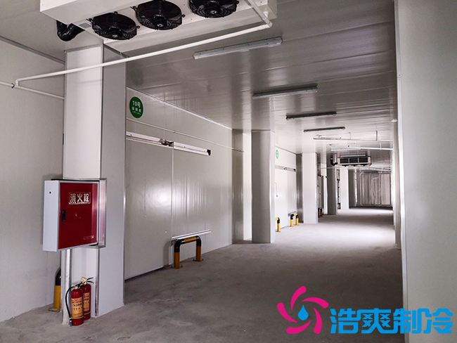 芭蕉氣調(diào)保鮮庫安裝如何確保果實(shí)的長期儲存？_浩爽制冷