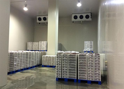 建造安裝1000㎡冷庫造價大概需要多少費用？_浩爽制冷