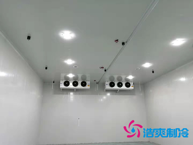 超低溫凍庫建設(shè)價(jià)格與哪些因素有關(guān)？_浩爽制冷