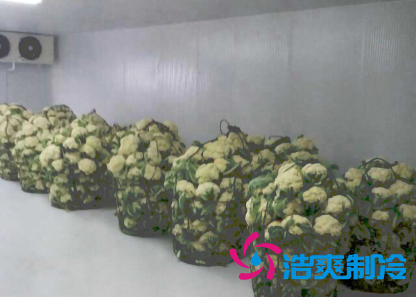 云南500平米氣調(diào)冷庫(kù)安裝造價(jià)大概是多少？_浩爽制冷