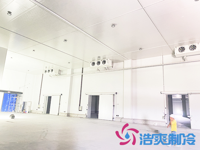 海南建造一個(gè)冷庫需要多少錢？_浩爽制冷