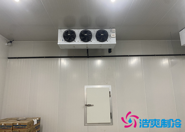 大型農產品物流園冷庫建設多少錢一平方合適？-浩爽制冷