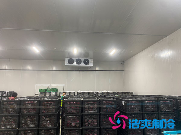 嘉定雞蛋冷庫(kù)安裝建造多少錢？-浩爽制冷