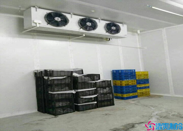 西藏氣調(diào)果蔬冷庫設計規(guī)范.jpg