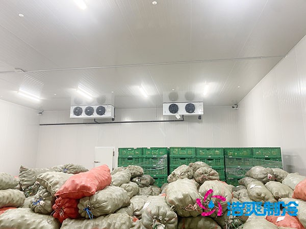 如何為時令蔬菜建造一個合適的冷庫？造價成本多少錢？-浩爽制冷
