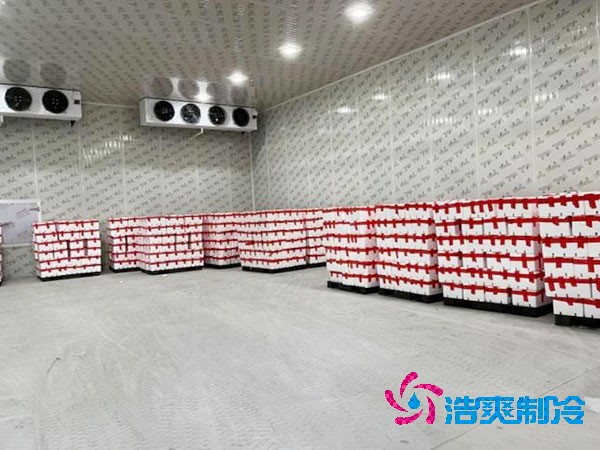 大型氣調(diào)冷庫造價
