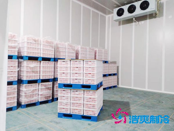 大型氣調(diào)冷庫造價